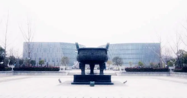 以色列留学选什么院校什么专业比较好？